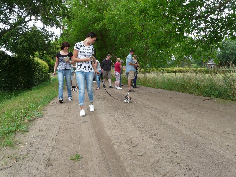 Afb_20150716 (002).JPG